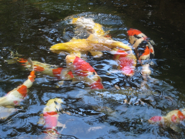 手機圖片1 191.jpg